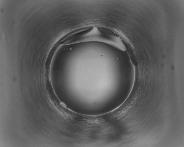 X0000070190439200605261201