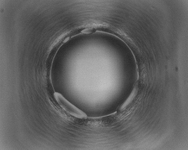 X0000070190440200605261201