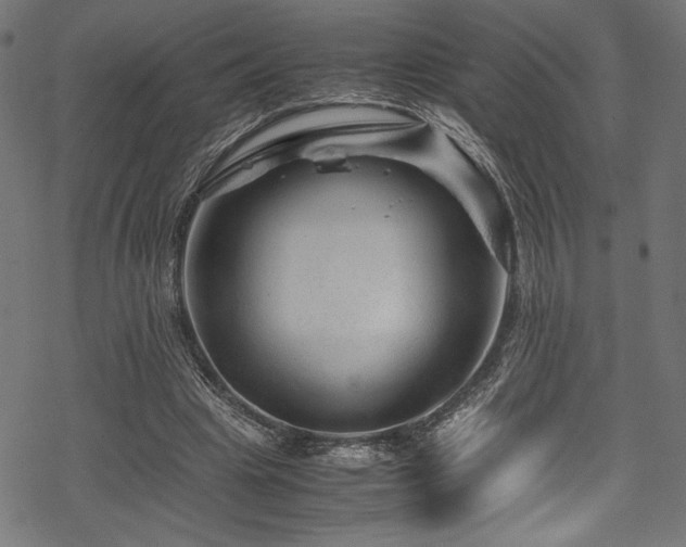 X0000070190441200605261201