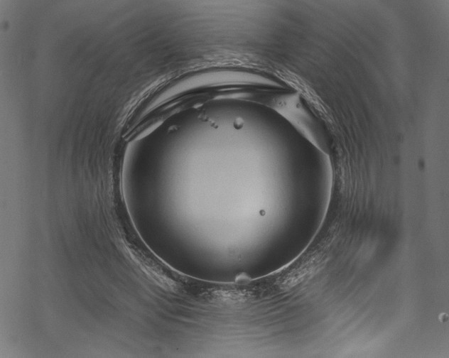 X0000070190442200605261202