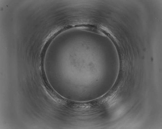 X0000070190443200605261202