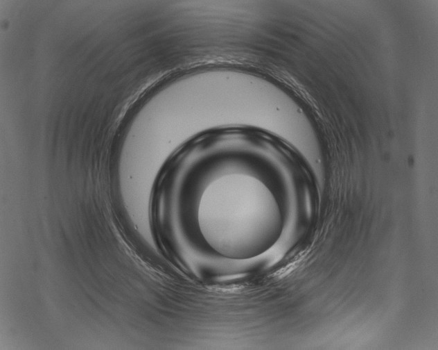 X0000070190444200605261202