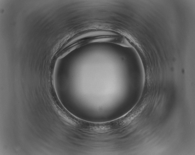 X0000070190445200605261202