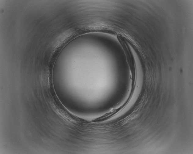 X0000070190446200605261202