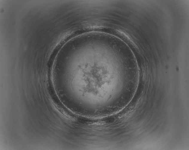 X0000070190447200605261202