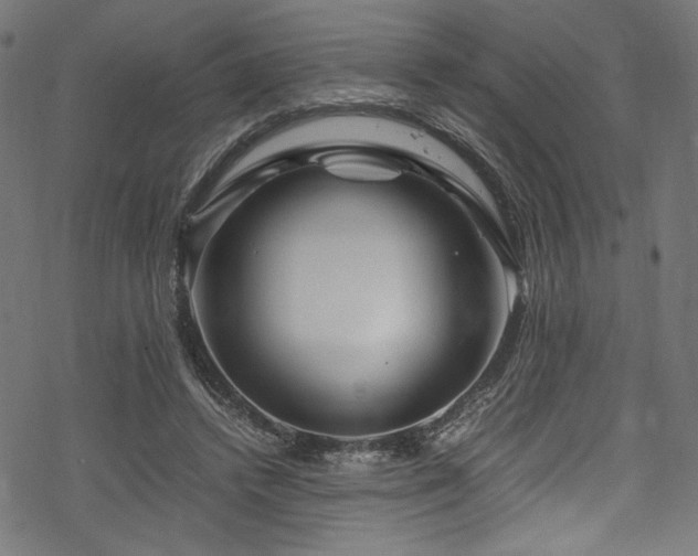 X0000070190448200605261202