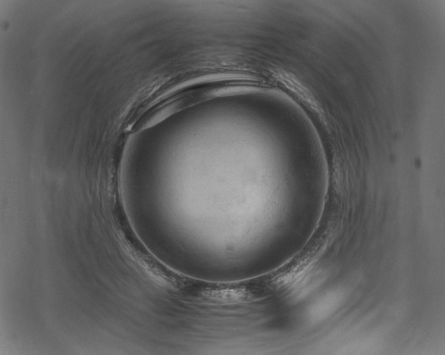 X0000070190449200605261202