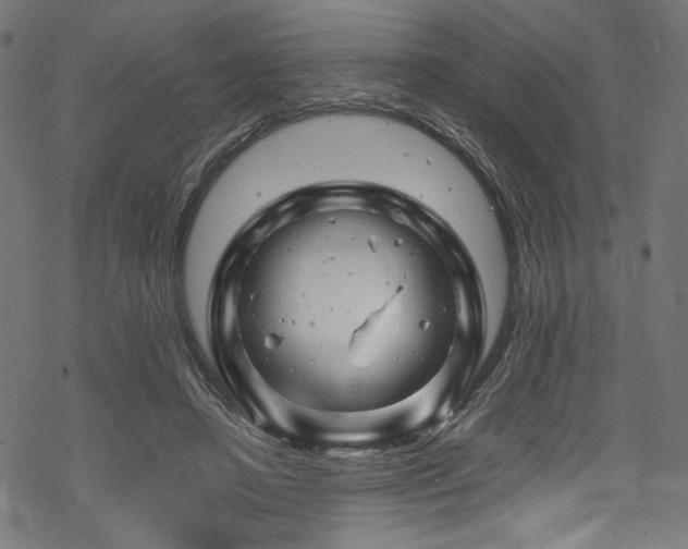 X0000070190450200605261202