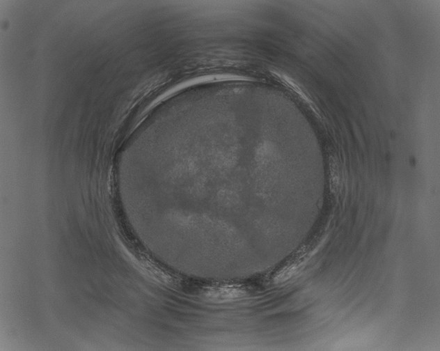 X0000070190451200605261202