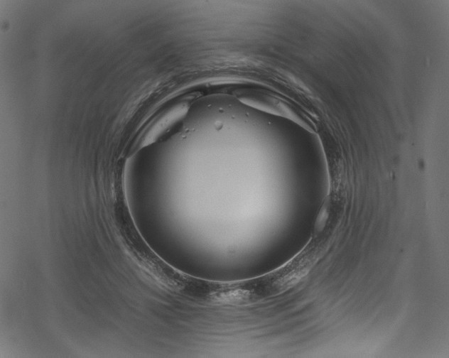 X0000070190452200605261202