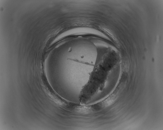 X0000070190453200605261202