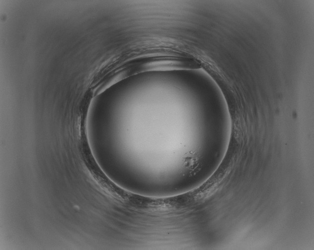 X0000070190454200605261202