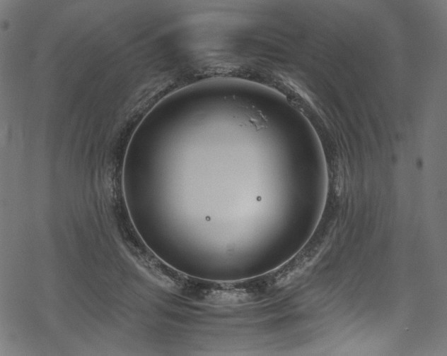 X0000070190455200605261202