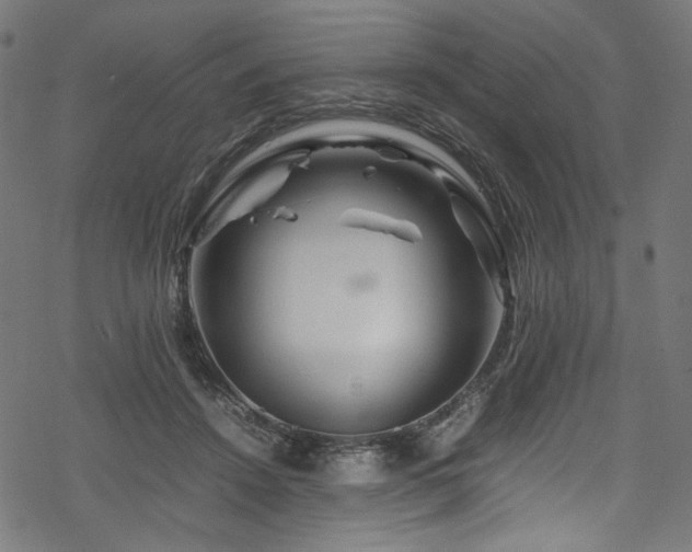 X0000070190456200605261202