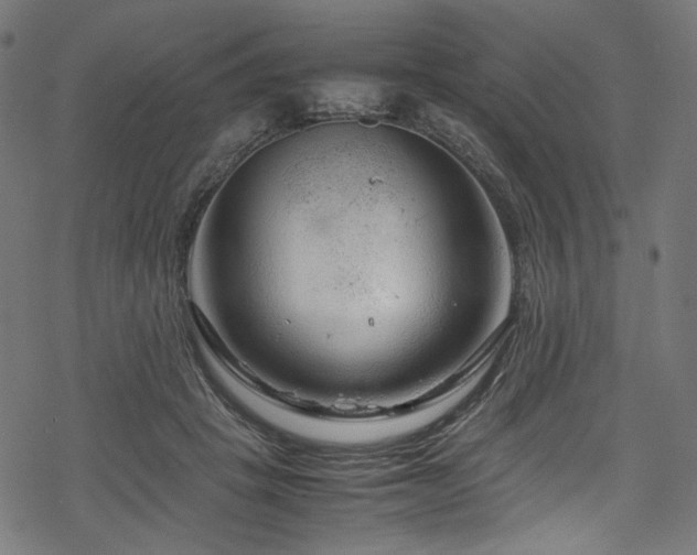 X0000070190457200605261202