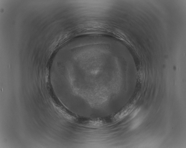 X0000070190458200605261202