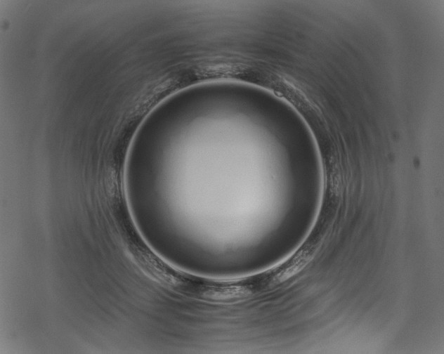 X0000070190459200605261202