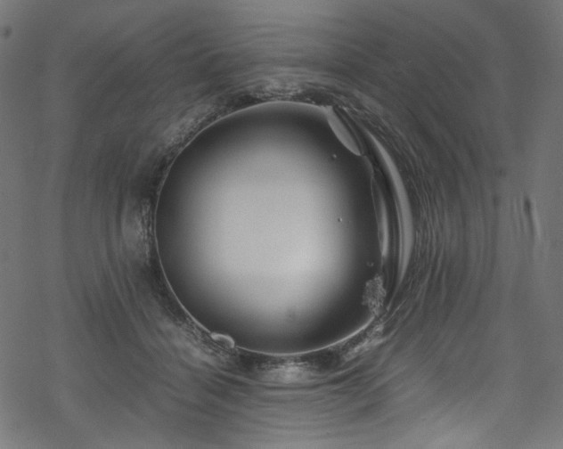 X0000070190460200605261202