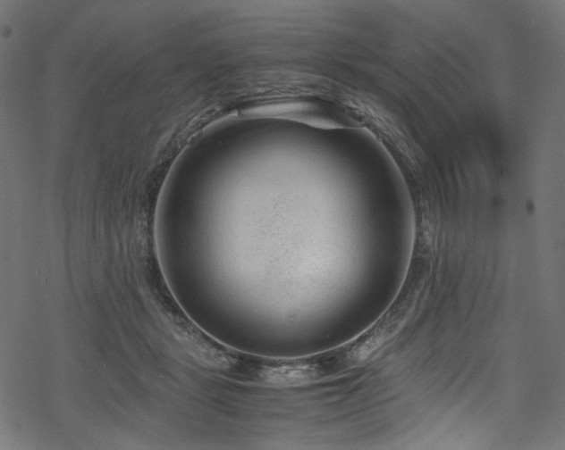 X0000070190461200605261202