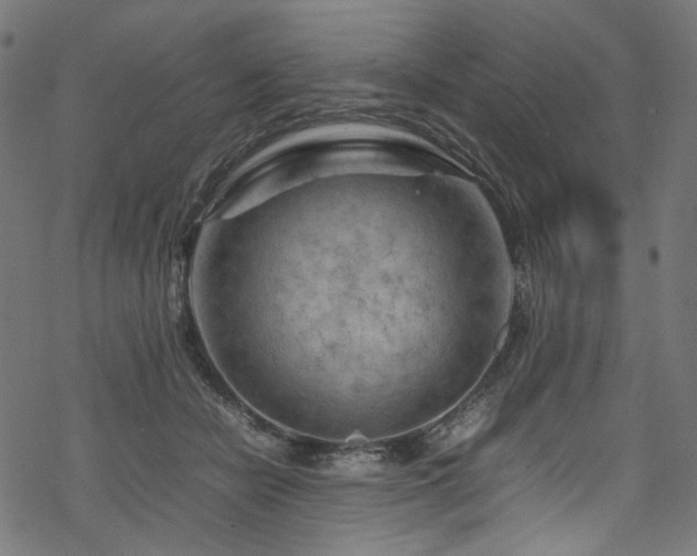 X0000070190462200605261202