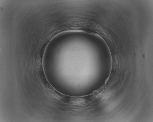 X0000070190463200605261202