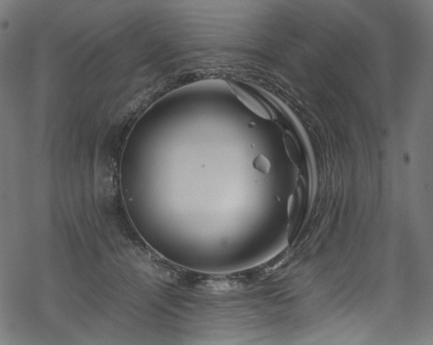 X0000070190464200605261202