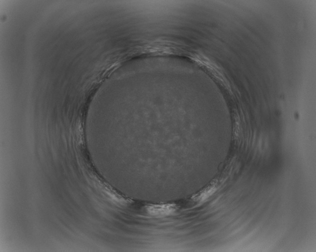 X0000070190465200605261202