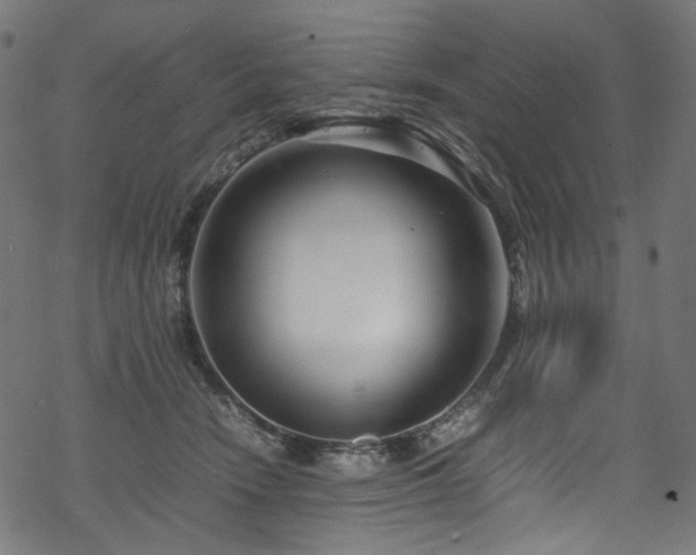 X0000070190466200605261202