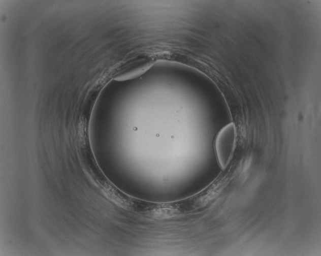 X0000070190468200605261202