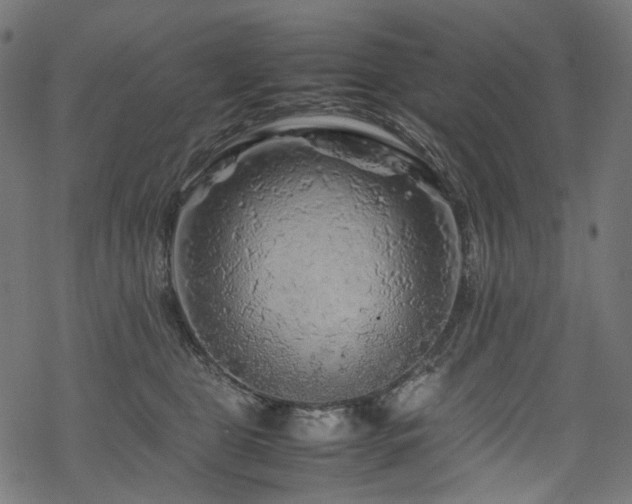 X0000070190469200605261202