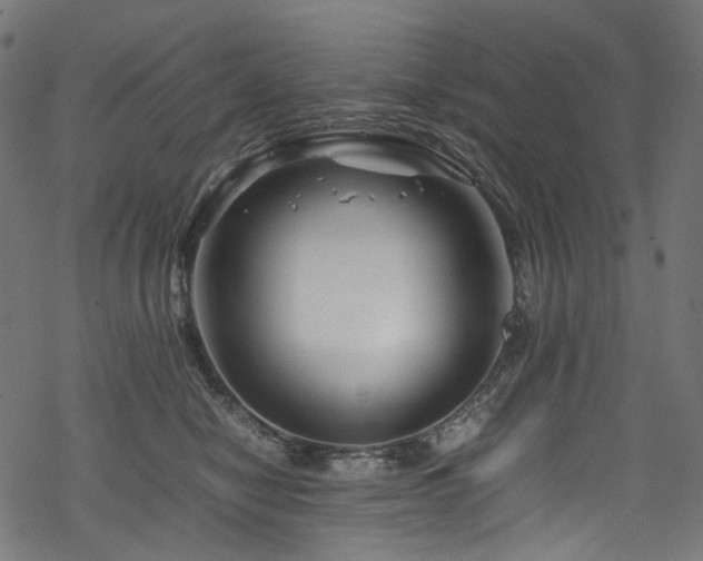 X0000070190470200605261202