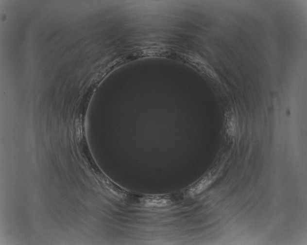 X0000070190471200605261202