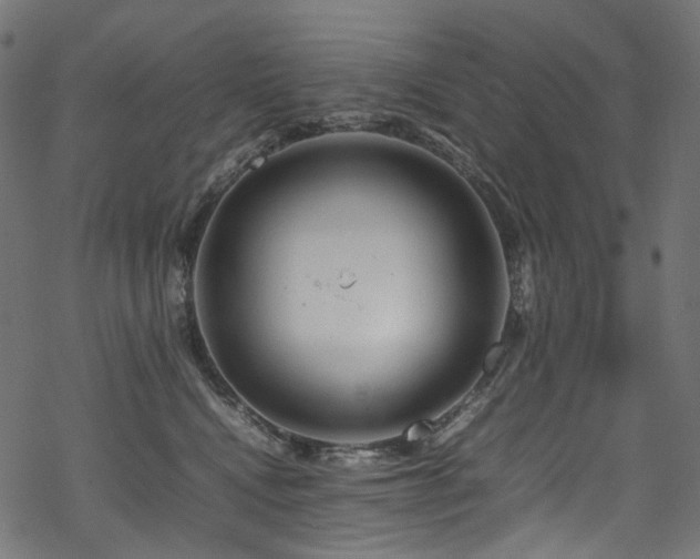 X0000070190472200605261202