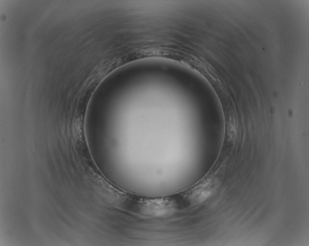 X0000070190473200605261202