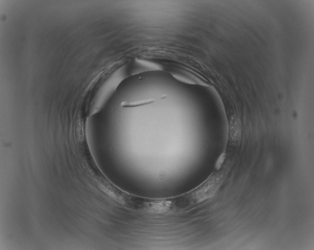 X0000070190474200605261202