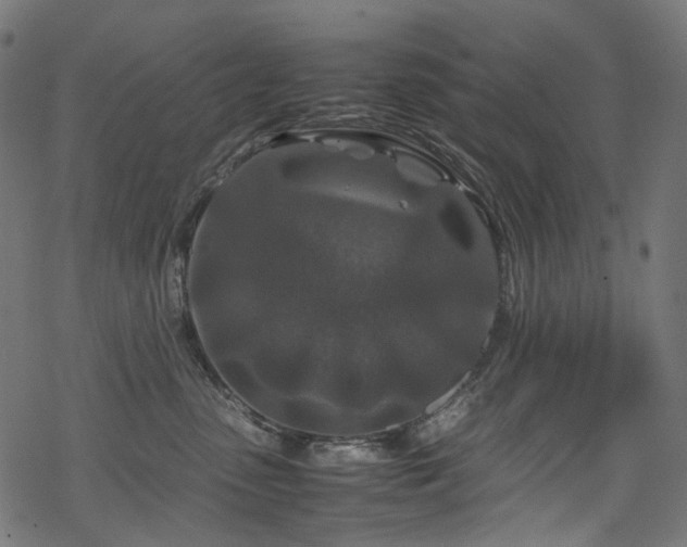 X0000070190475200605261202