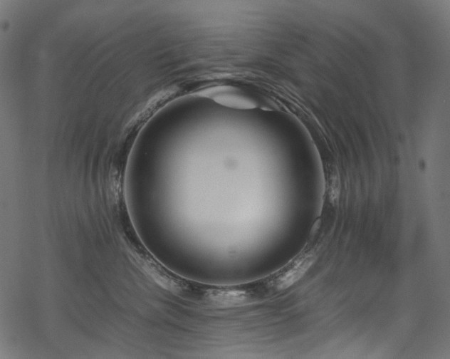 X0000070190476200605261202