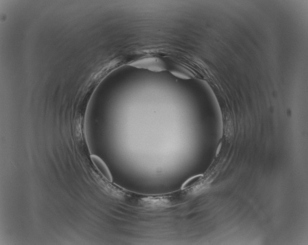 X0000070190477200605261202