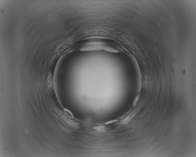 X0000070190478200605261202