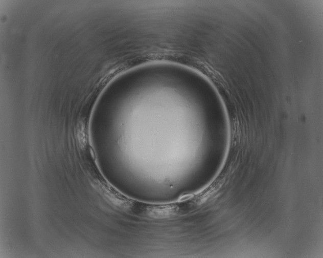 X0000070190479200605261202