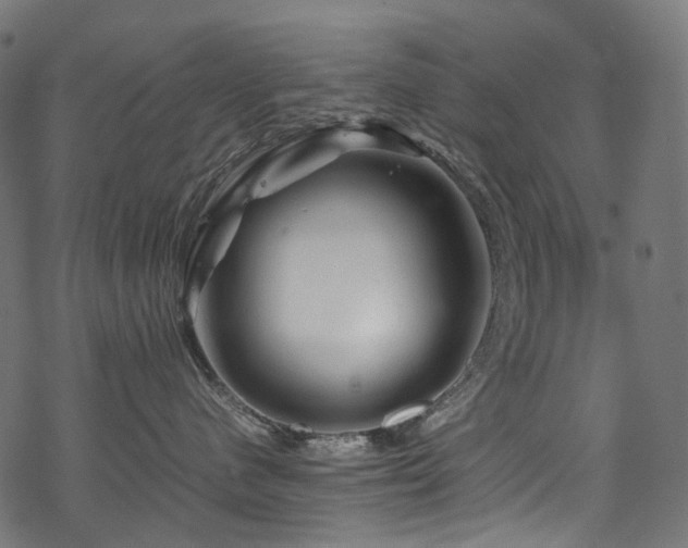 X0000070190480200605261202