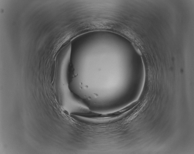 X0000070190481200605261201