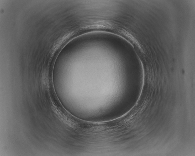 X0000070190482200605261201