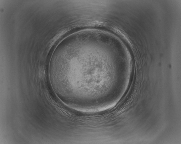 X0000070190483200605261201