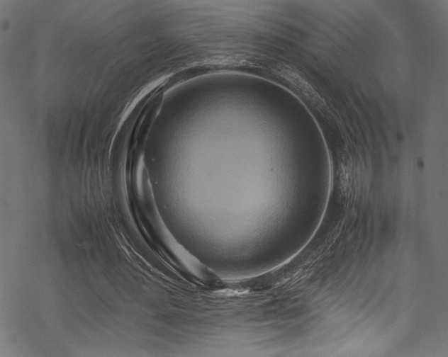 X0000070190484200605261201