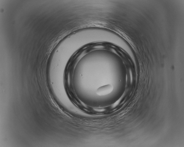 X0000070190485200605261201