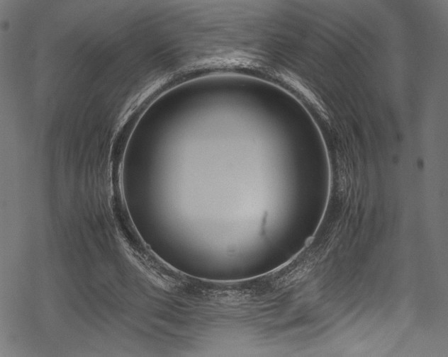 X0000070190486200605261201