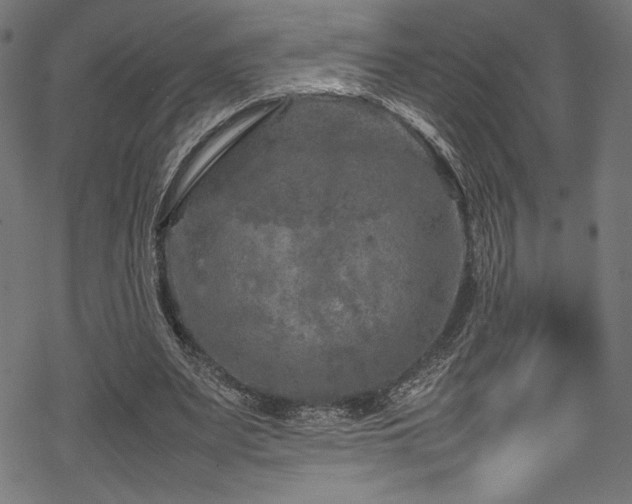 X0000070190487200605261201