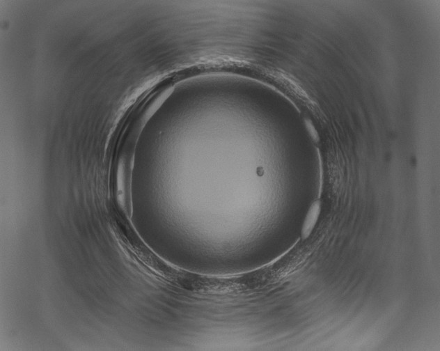 X0000070190488200605261201