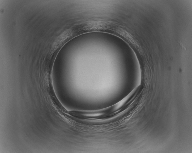 X0000070190489200605261201